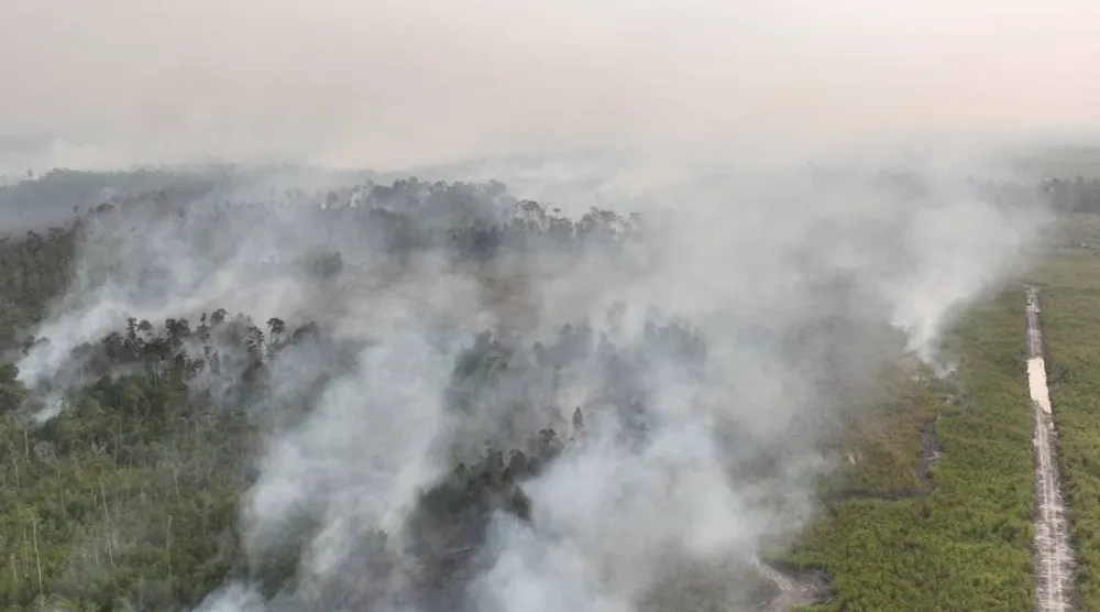  In this aerial photo released by Indonesia's National Disaster Mitigation Agency (BNPB) on Friday, Aug. 21, 2026, smoke billows as a wildfire rages through a peatland forest in Bulungan, North Kalimantan, Indonesia. (BNPB via AP) 