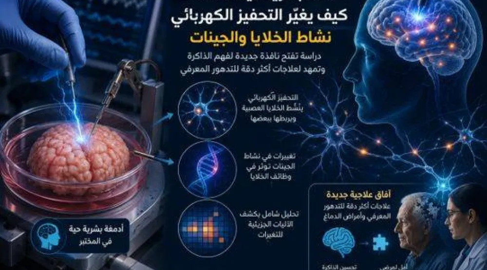 أدمغة بشرية حية تكشف كيف يغيّر التحفيز الكهربائي نشاط الخلايا والجينات