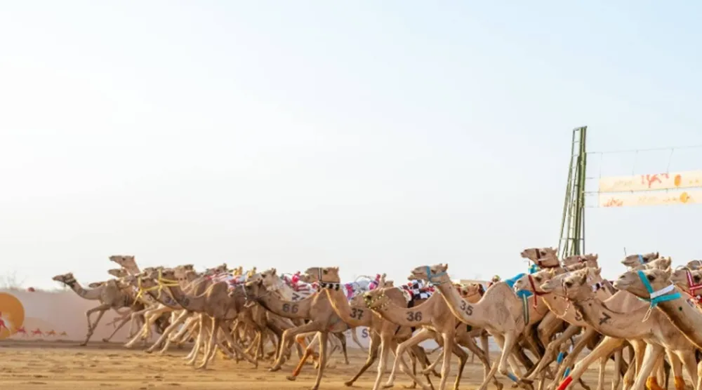 سباقات المهرجان ستنطلق بدءاً من 3 سبتمبر المقبل (الشرق الأوسط)