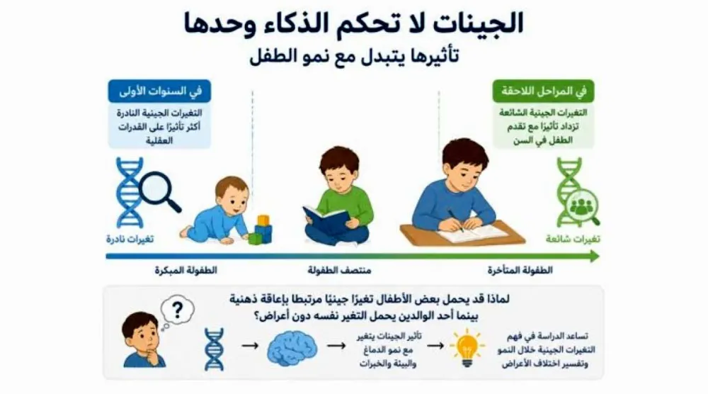 تأثير الجينات في القدرات العقلية يتغير مع نمو الطفل
