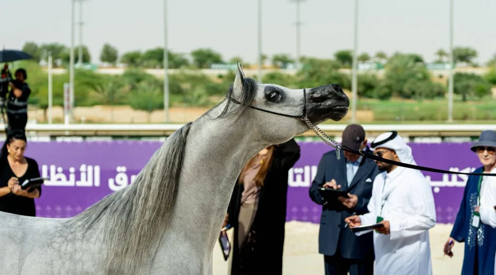 30 سبتمبر تنطلق منافسات البطولة الوطنية لجمال الخيل (الشرق الأوسط)