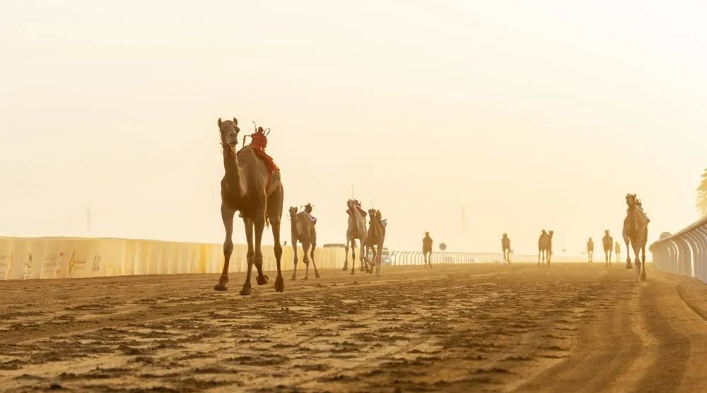 المهرجان الكبير يختتم اليوم بتتويج الأبطال (الشرق الأوسط)