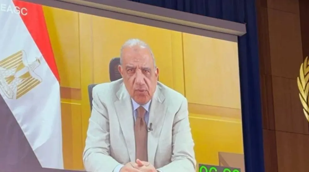 وزير الكهرباء المصري محمد عصمت يلقى كلمة أمام المؤتمر العام للوكالة الدولية للطاقة الذرية (وزارة الكهرباء)