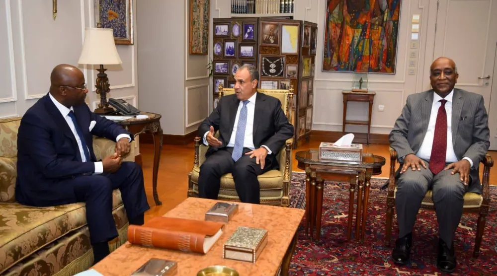 وزير الخارجية المصري يناقش تحضيرات منتدى «العلمين - أفريقيا» مع رئيس «البنك الأفريقي للتصدير والاستيراد» (الخارجية المصرية)