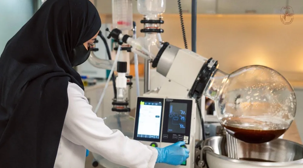 سعودية تقوم بأعمال المستحضرات المستخلصة من شجرة البان في العلا (الشرق الأوسط)