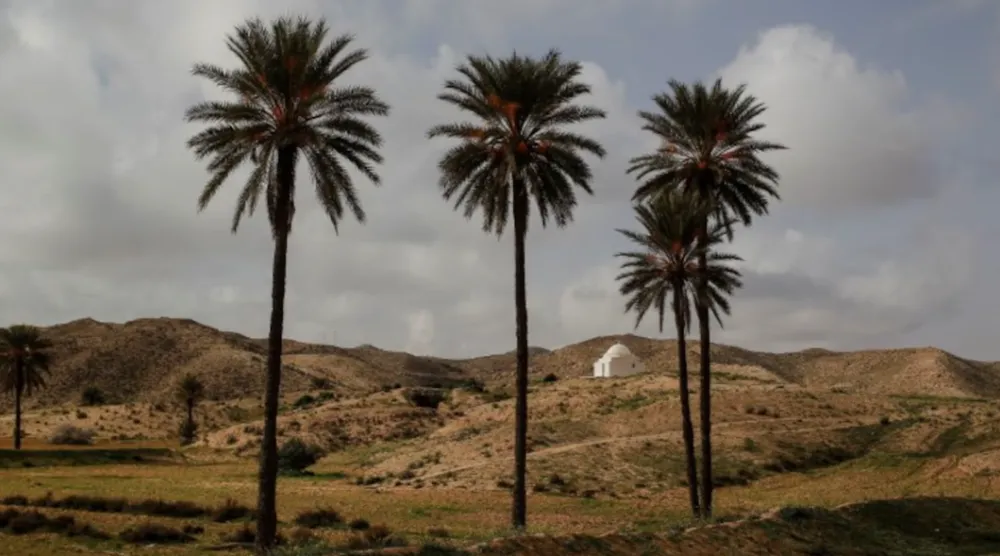 درجات الحرارة المرتفعة في تونس أثرت على إمدادات الكهرباء والمياه الصالحة للشرب (رويترز)