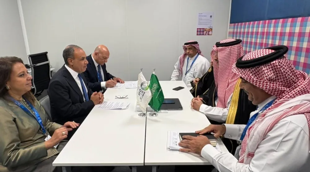 محادثات وزير الخارجية المصري مع الرئيس التنفيذي للصندوق السعودي للتنمية (صفحة وزارة الخارجية على فيسبوك)