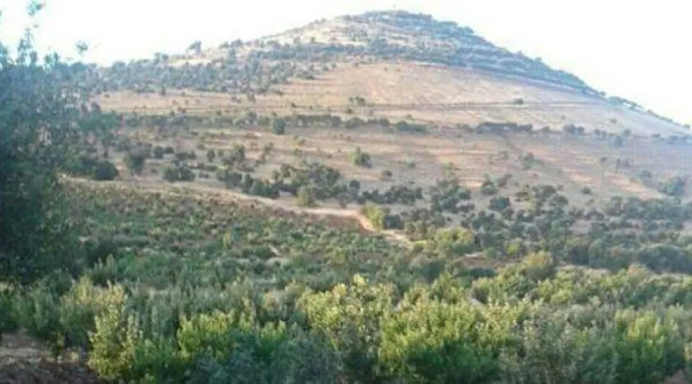  «تل قليب» بريف محافظة السويداء السورية (أرشيفية - وكالة سانا) 
