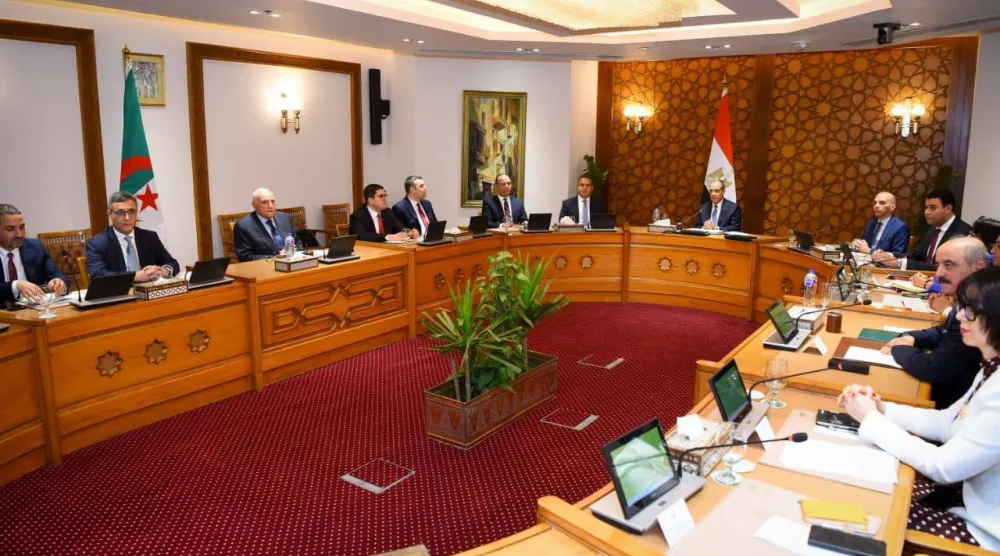 جانب من اجتماع وزراء خارجية مصر والجزائر وتونس بالقاهرة مايو الماضي (الخارجية المصرية)