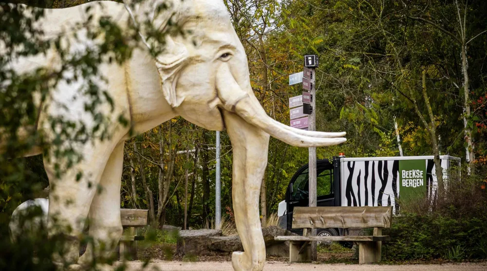 This photograph shows the exterior of the Safaripark Beekse Bergen in Hilvarenbeek, on October 27, 2026. (Photo by ROB ENGELAAR / ANP / AFP)