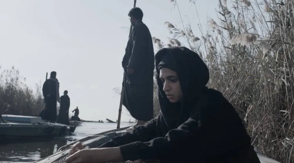 صور الفيلم في البرلس (الشركة المنتجة)