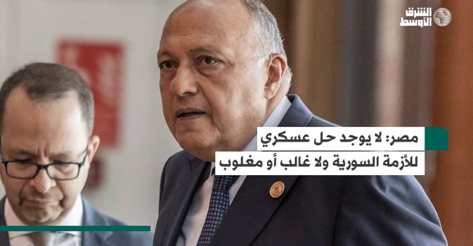 مصر: لا يوجد حل عسكري للأزمة السورية ولا غالب أو مغلوب
