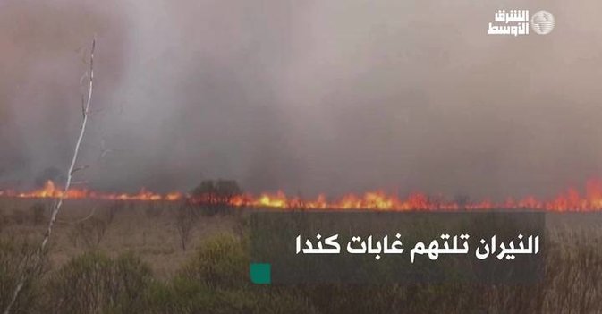النيران تلتهم غابات كندا