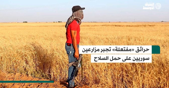 حرائق «مفتعلة» تجبر مزارعين سوريين على حمل السلاح