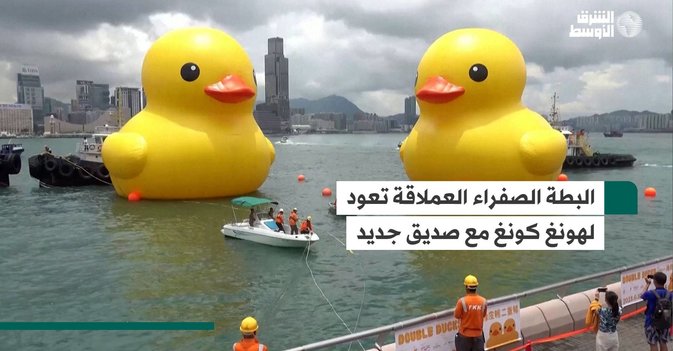 البطة الصفراء العملاقة تعود لهونغ كونغ مع صديق جديد