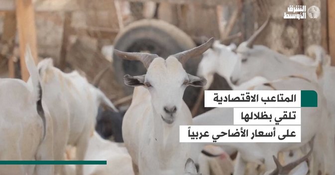 المتاعب الاقتصادية تلقي بظلالها على أسعار الأضاحي عربياً