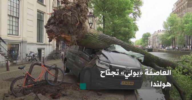 العاصفة «بولي» تجتاح هولندا