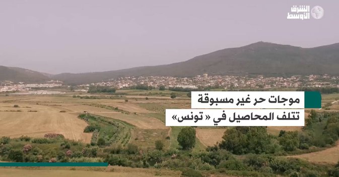 موجات حر غير مسبوقة تتلف المحاصيل في « تونس»