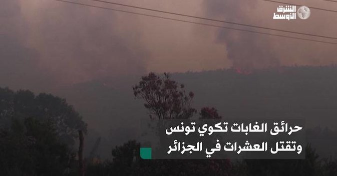 حرائق الغابات تكوي تونس وتهدد الجزائر