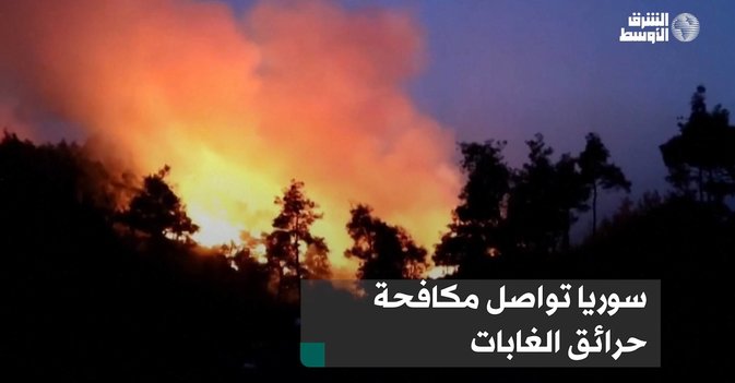سوريا تواصل مكافحة حرائق الغابات
