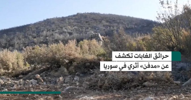 حرائق الغابات تكشف عن «مدفن» أثري في سوريا