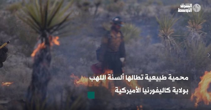 محمية طبيعية تطالها ألسنة اللهب بولاية كاليفورنيا الأميركية