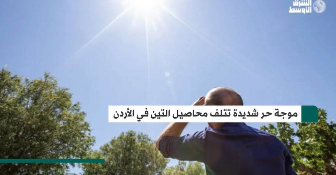 موجة حر شديدة تتلف محاصيل التين في الأردن