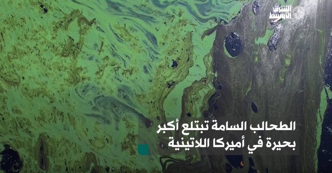 الطحالب السامة تبتلع أكبر بحيرة في أميركا اللاتينية