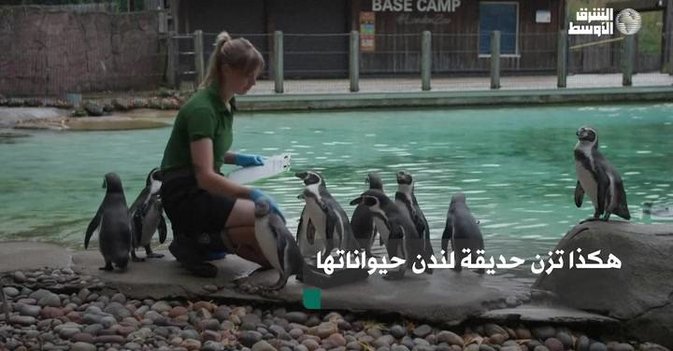 هكذا تزن حديقة لندن حيواناتها