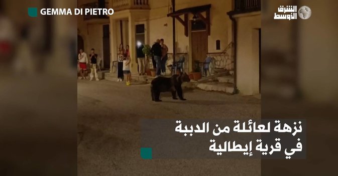 نزهة لعائلة من الدببة في قرية إيطالية