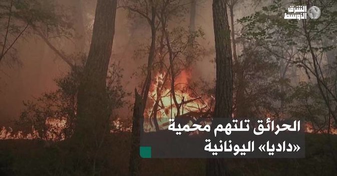 الحرائق تلتهم محمية «داديا» اليونانية
