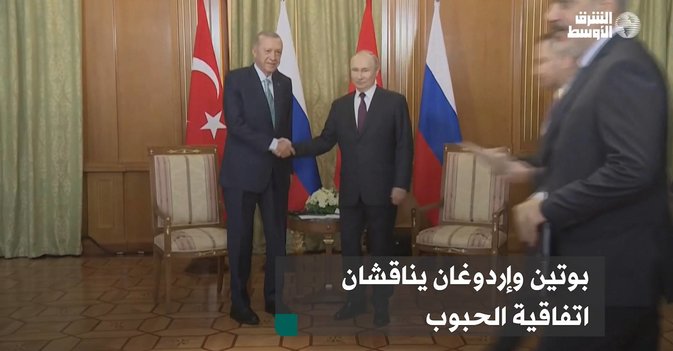 بوتين وإردوغان يناقشان اتفاقية الحبوب