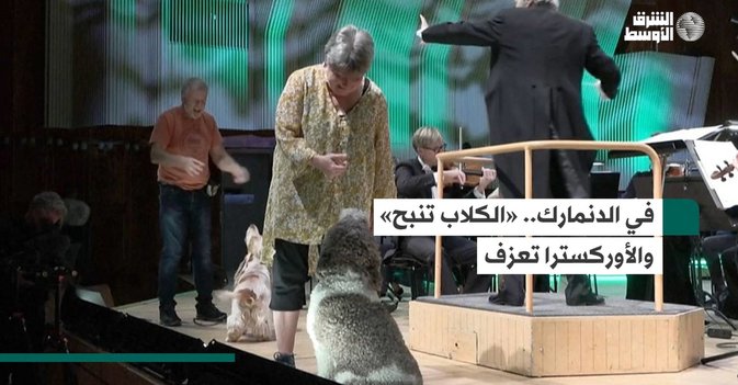 في الدنمارك.. «الكلاب تنبح» والأوركسترا تعزف