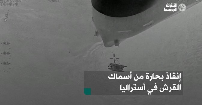 إنقاذ بحارة من أسماك القرش في أستراليا