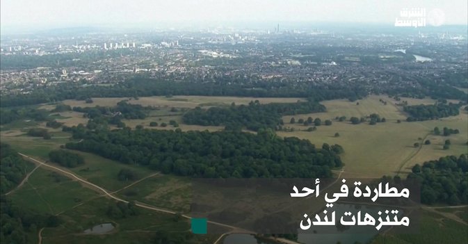 مطاردة في أحد متنزهات لندن