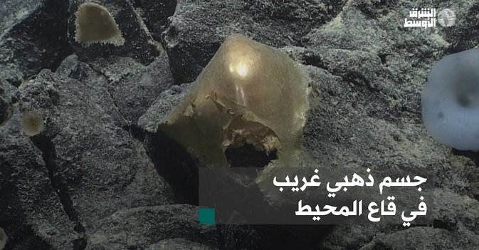 جسم ذهبي غريب في قاع المحيط