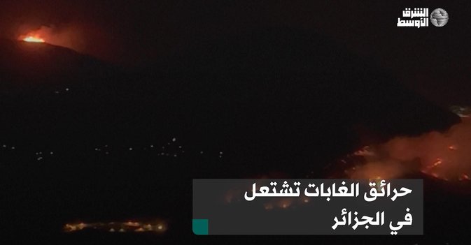 حرائق الغابات تشتعل في الجزائر