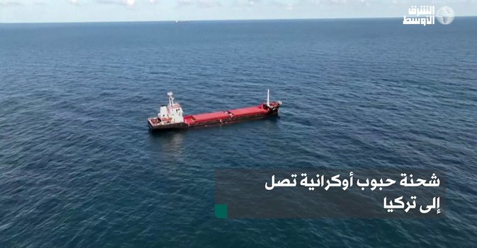 شحنة حبوب أوكرانية تصل إلى تركيا