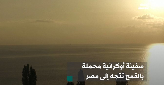 سفينة أوكرانية محملة بالقمح تتجه إلى مصر