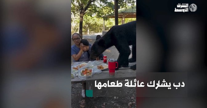 دب يشارك عائلة طعامها