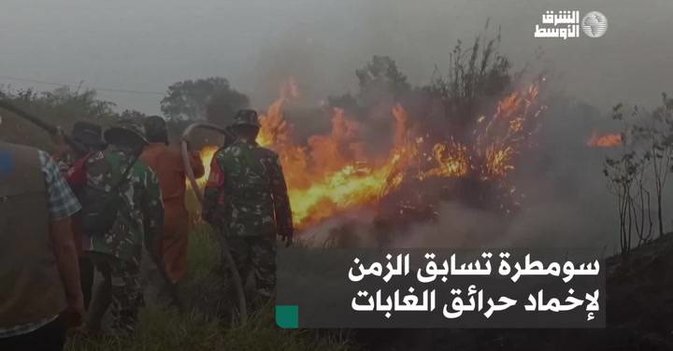 سومطرة تسابق الزمن لإخماد حرائق الغابات
