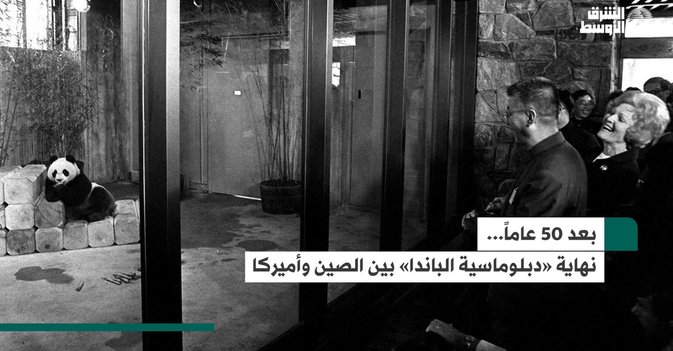 بعد 50 عاماً...  نهاية «دبلوماسية الباندا» بين الصين وأميركا