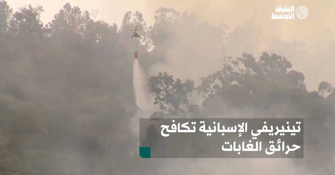 تينيريفي الإسبانية تكافح حرائق الغابات