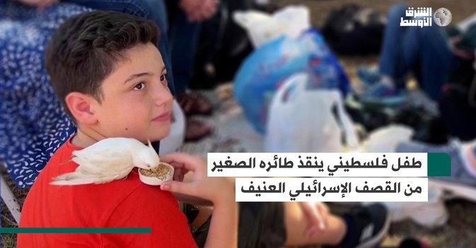 طفل فلسطيني ينقذ طائره الصغير من القصف الإسرائيلي العنيف