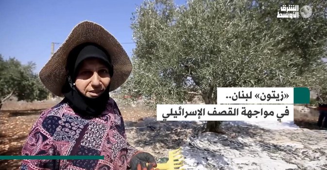 «زيتون» لبنان... في مواجهة القصف الإسرائيلي