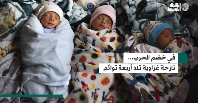 في خضم الحرب... نازحة غزاوية تلد أربعة توائم