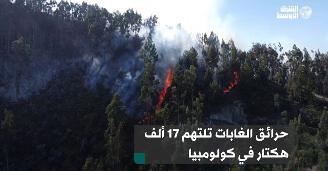 حرائق الغابات تلتهم 17 ألف هكتار في كولومبيا