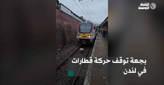بجعة توقف حركة قطارات في لندن
