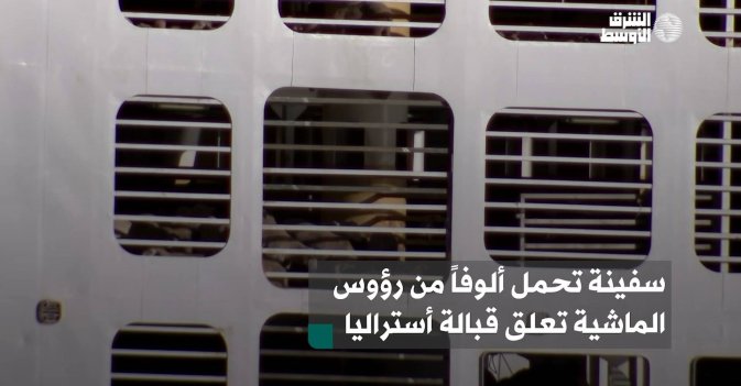 سفينة تحمل ألوفاً من رؤوس الماشية تعلق قبالة أستراليا