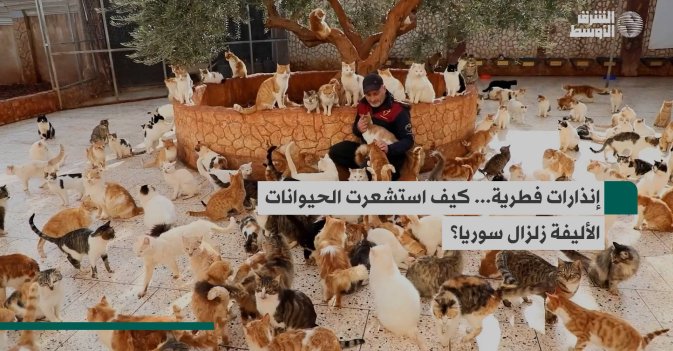 إنذارات فطرية... كيف استشعرت الحيوانات الأليفة زلزال سوريا؟